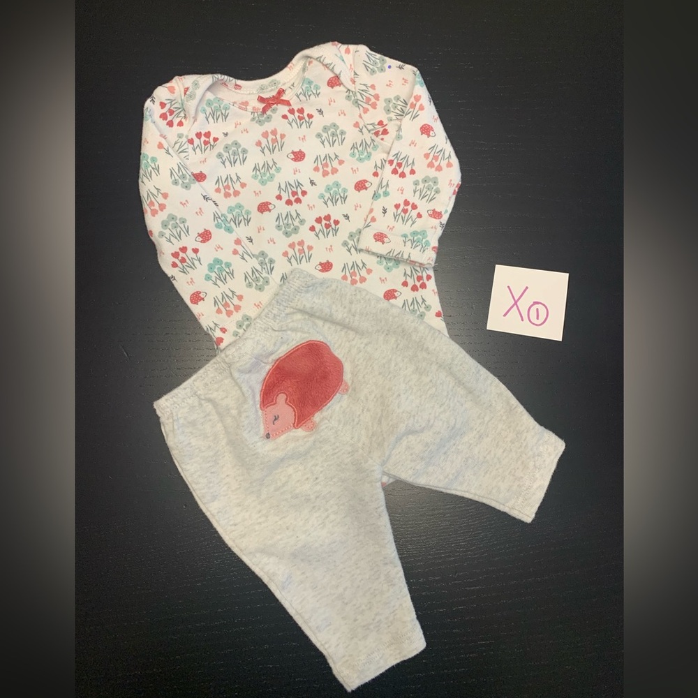⭐️2/$8.00⭐️ Carter’s NB Hedgehog Theme Onesie and Pants Set